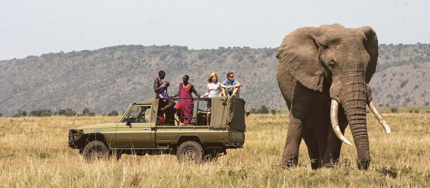 Meru National Park Game drive in a Land cruiser Jeep - Cheetah Revolution Safaris