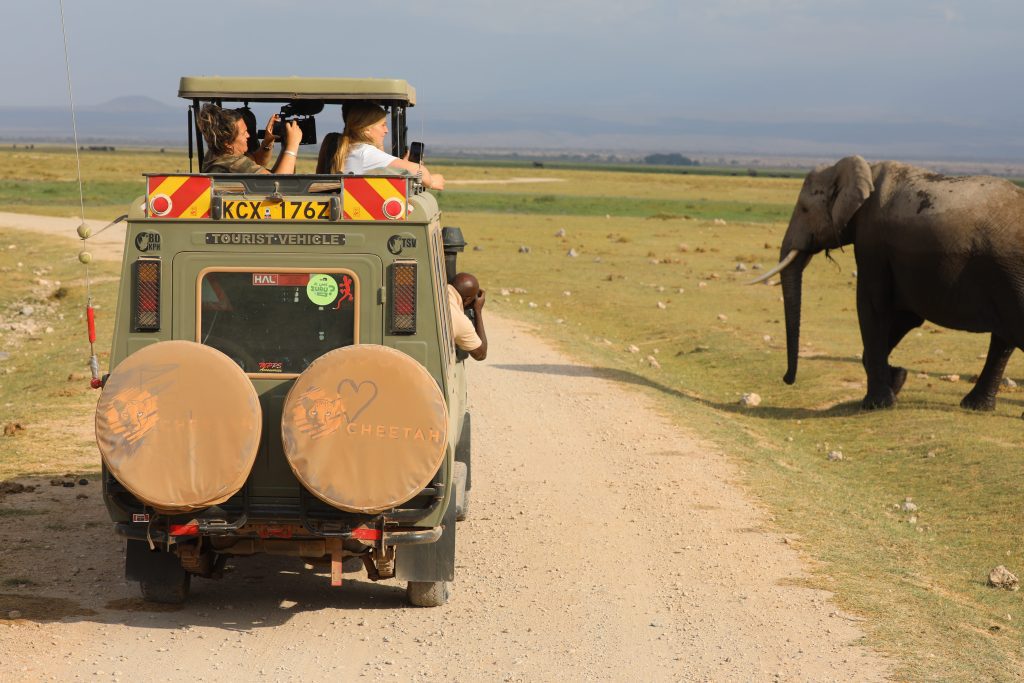 Kenya Safaris - Kenya Safari Holidays - African Safaris - Safari in Kenya Cost - Cheetah Safaris