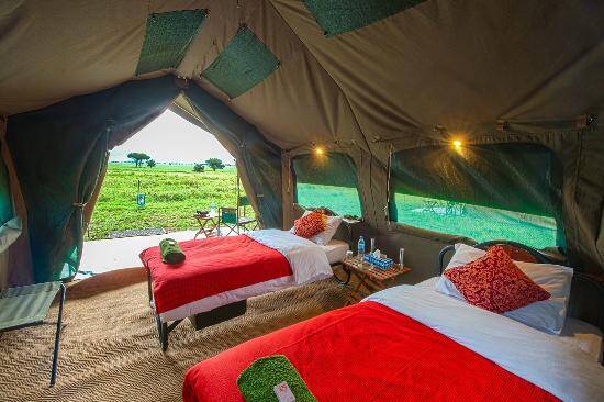 Kananga Special Camp In Serengeti National Park