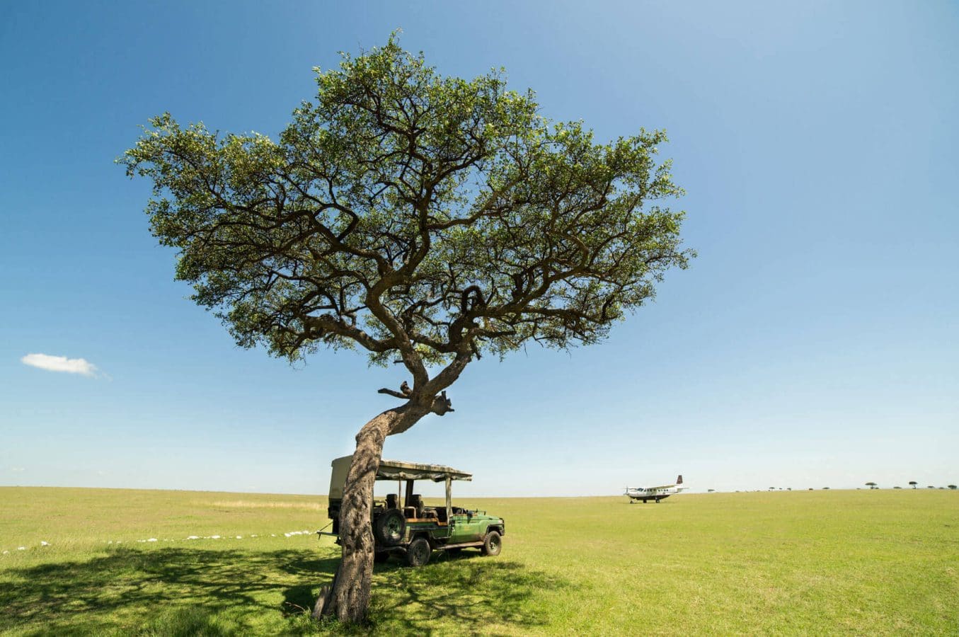 Safari Jeep & Plane