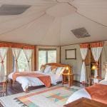 Tipilikwani Mara Camp Bedroom tent