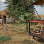 Ashnil Samburu Camp - Cheetah Safaris