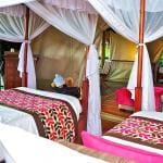 Samburu Intrepids Luxury Tented Camp