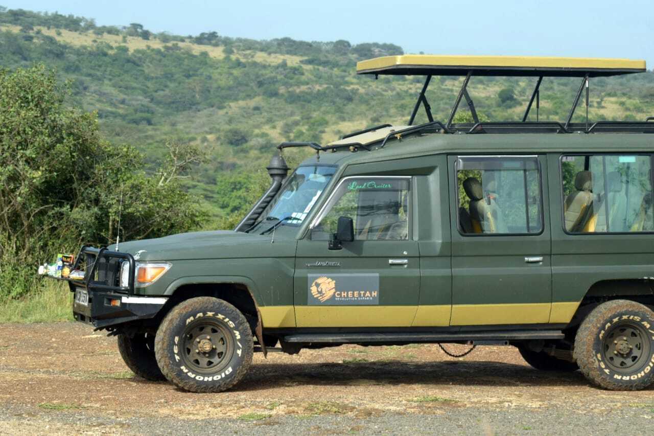 Safari Jeep