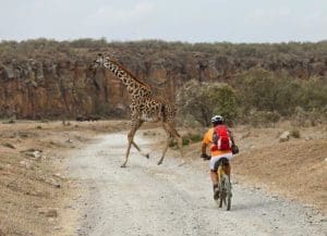 hells gate national park kenya national parks cheetah safaris 9