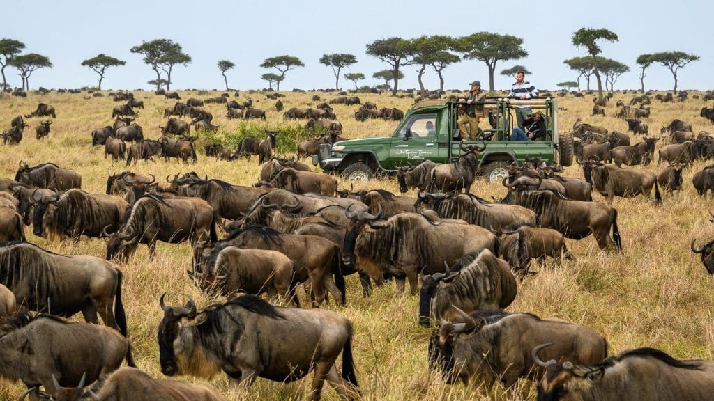 12 Days Kenya and Tanzania Wildebeest Migration Safaris