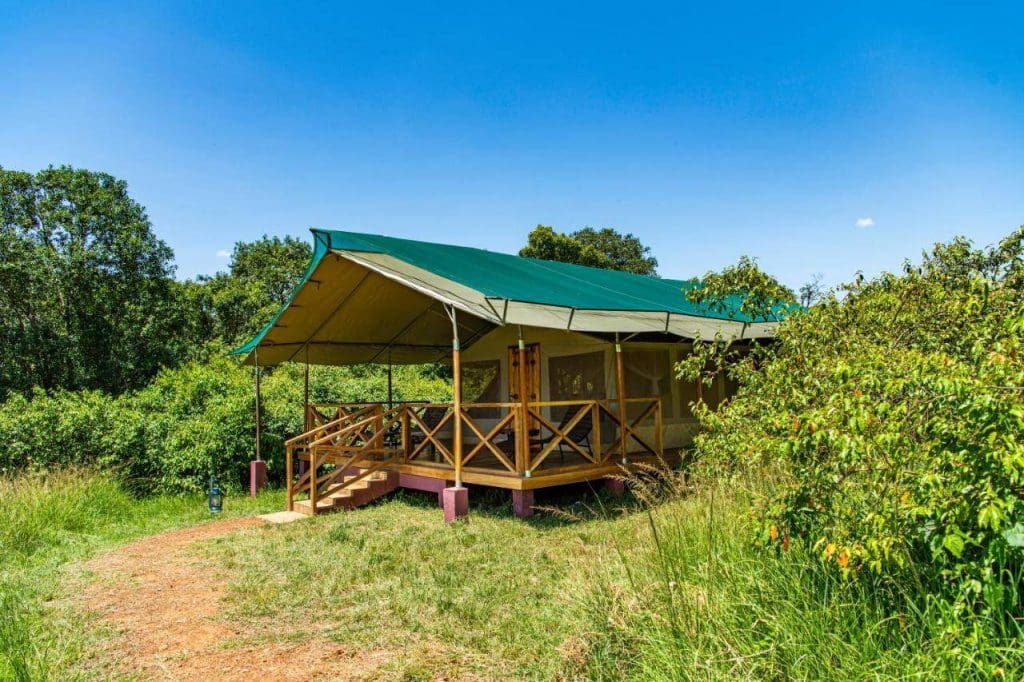 How to Book an African Safari in Kenya - Tourist Guide - Safari camps and lodges in Kenya
