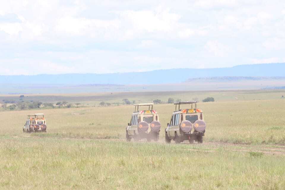 Best Interesting Facts about Masai Mara National Reserve