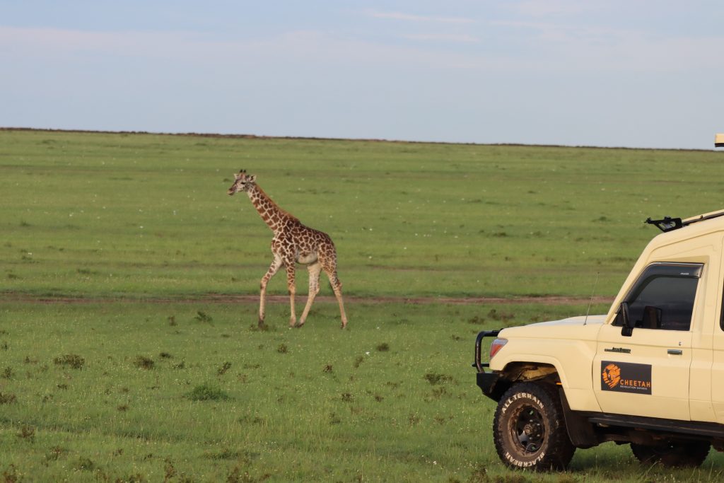 Guests on Safari in Amboseli | The Best Time to Visit Kenya For Safari Holidays
