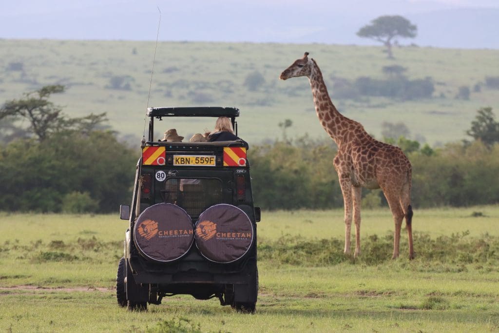 Best Time to Visit Kenya - The Best Time to Visit Kenya For Safari Holidays