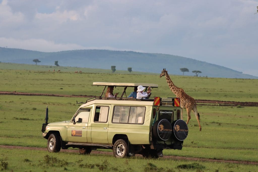 How to Book an African Safari in Kenya - Tourist Guide