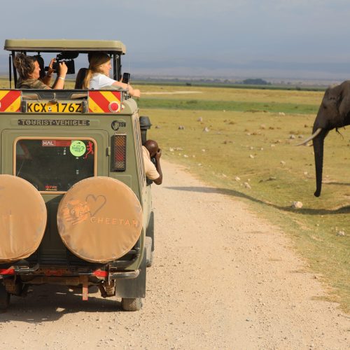 Kenya Safaris - Kenya Safari Holidays - African Safaris - Cheetah Safaris