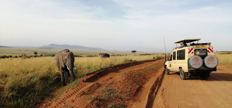 Masai Mara Safaris - Kenya Safaris - Cheetah Safaris