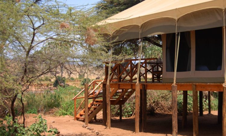 Elephant Bedroom Camp - Samburu Safaris - Cheetah Safaris