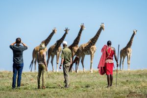 Copy-of-Copy-of-Copy-of-Masai-Mara-2017-02-50e
