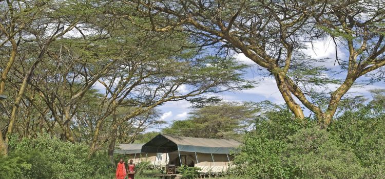 Accommodation in Olkinyei Conservancy - Masai Mara