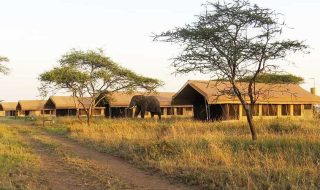 Serengeti Tortilis Camp neu 800 450 c1