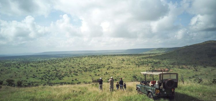 African Safaris - Kenya Safaris - Cheetah Safaris