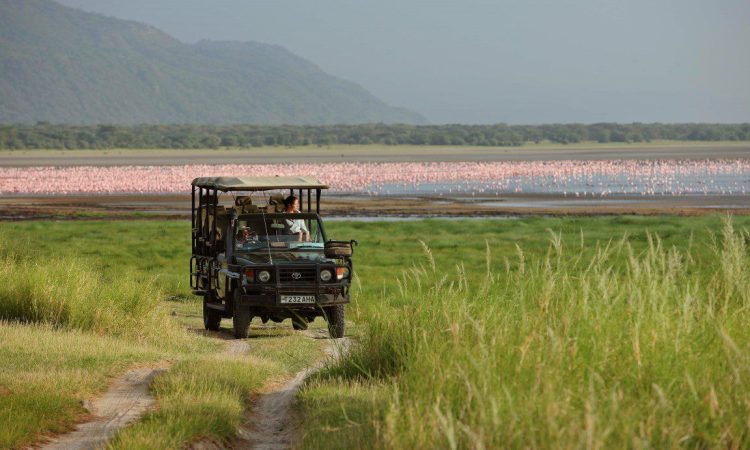 Lake Manyara National Park - Tanzania Safaris - Cheetah Safaris