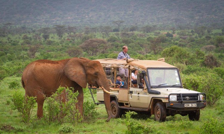 Samburu National Reserve - Kenya Safaris - Cheetah Safaris